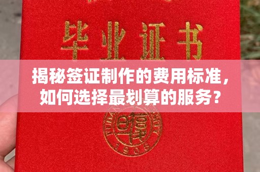 屏南揭秘签证制作的费用标准，如何选择最划算的服务？